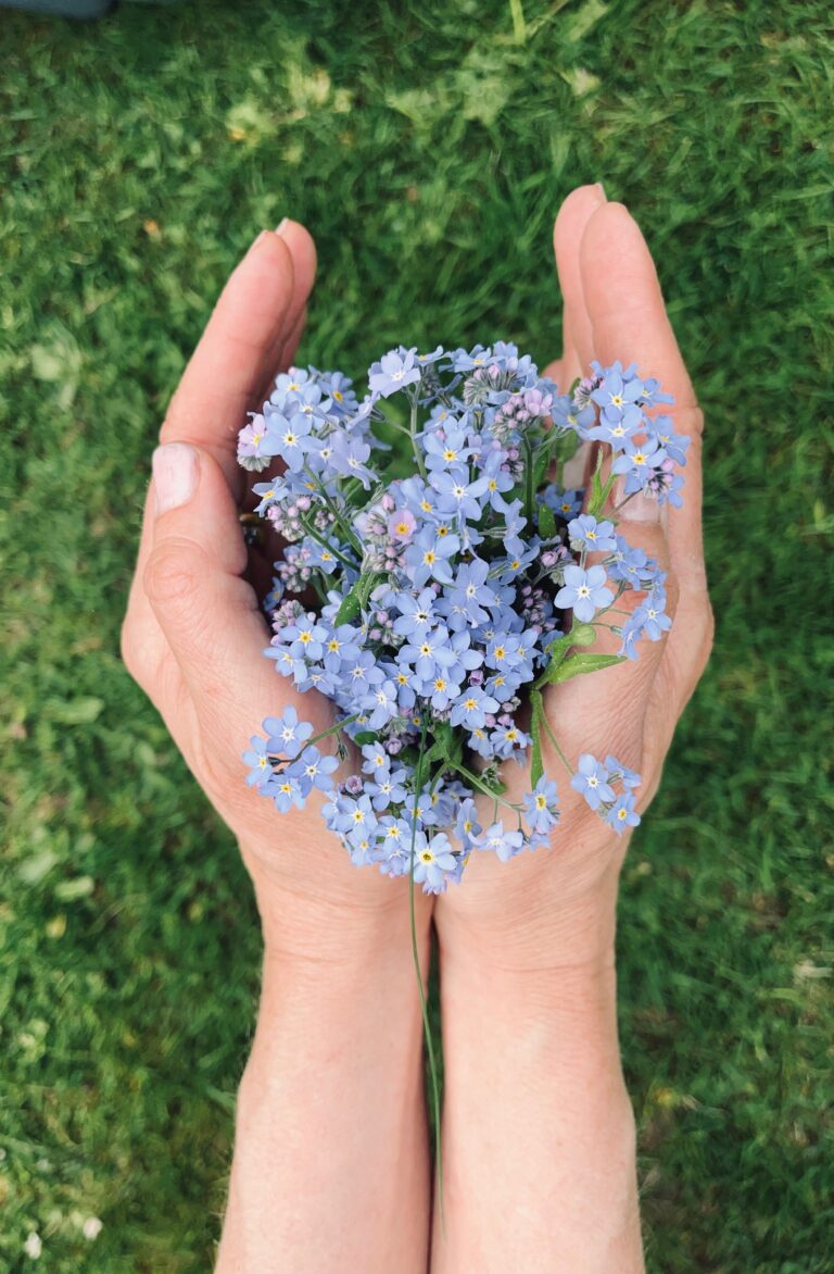 Två händer håller en bukett med blå blommor mot en grön bakgrund.